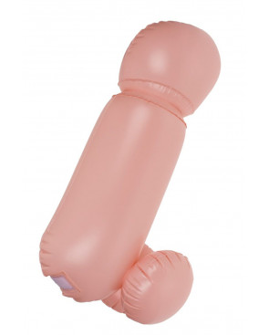 Jeu de combat coquin Cock Fighting 