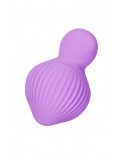Mini vibro rechargeable EnchantedDesire violet - FairyGasm