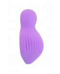 Mini vibro rechargeable EnchantedDesire violet - FairyGasm