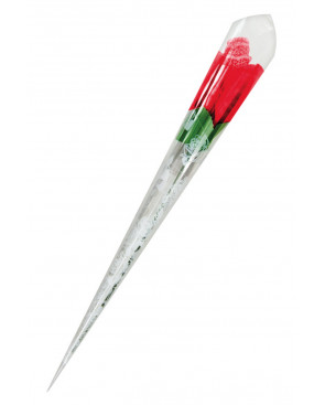 Rose surprise avec petite culotte - Fun Novelties