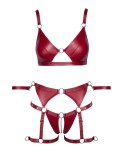 Set soutien-gorge et slip à jarretelles ouvert rouge - Cottelli BONDAGE