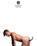 Plug anal XL queue de chien