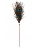 Plumeau à caresses Peacock Tickler - Taboom